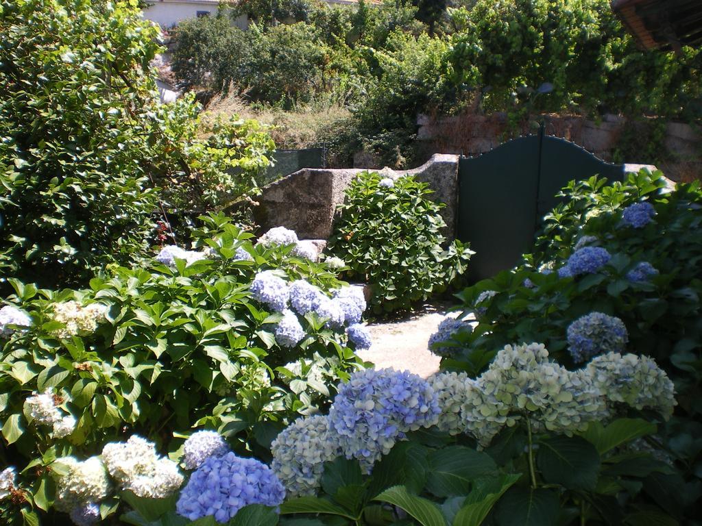 Casa Das Vendas חדר תמונה